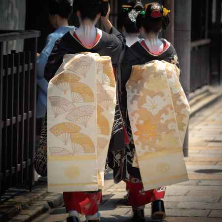 金色のだらりの帯