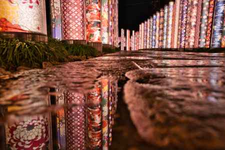 キモノフォレスト