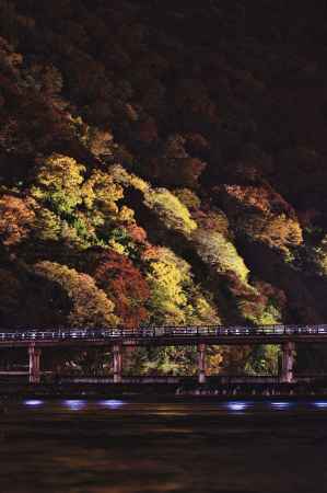 嵐山ライトアップ