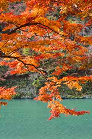 嵐山の紅葉