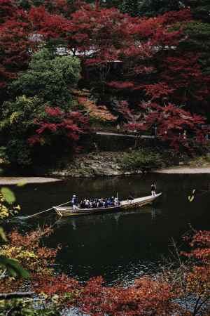 紅葉と保津川下り