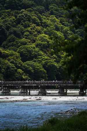 新緑の嵐山