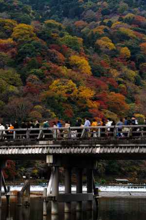 嵐山の紅葉4