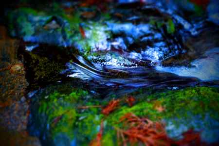 せせらぎを聴く