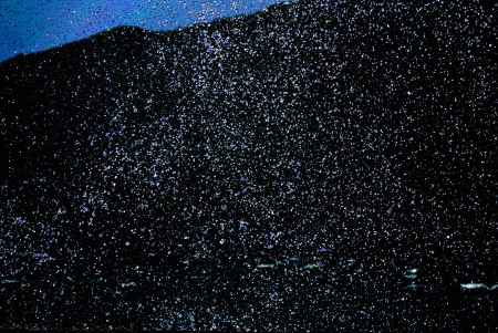 激しく宙に舞う