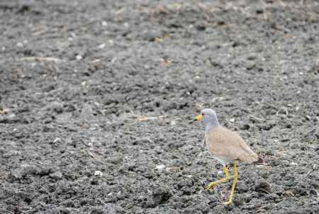 視線の先には…