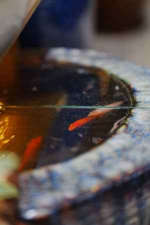 金魚鉢