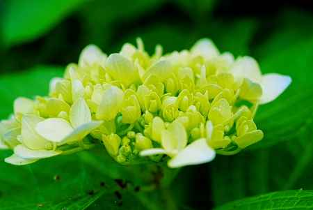 何色になろうか…