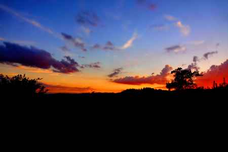 大文字山から見る