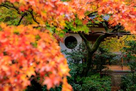 その名を紅葉寺