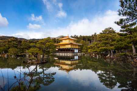 金のリフレクション