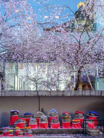 枝垂れ桜とお地蔵様
