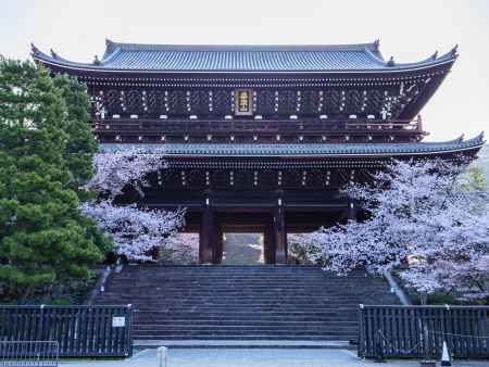 桜咲く知恩院