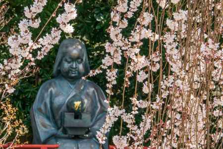 阿亀桜とおかめ像　