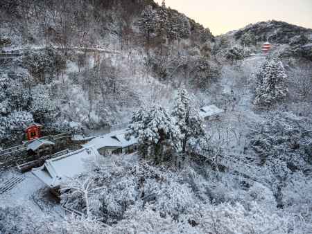 雪積もる清水寺境内①