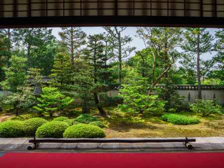 大雄院　苔と緑の枯山水①