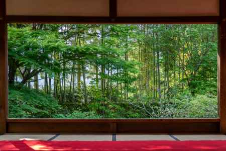 宝泉院　～額縁庭園～