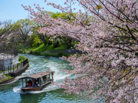 伏見十石舟めぐり