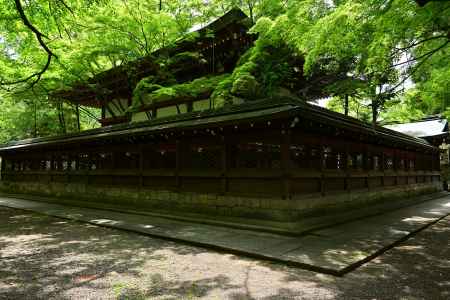 上御靈神社の新緑