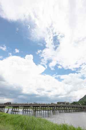 嵐山の夏