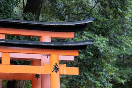 伏見稲荷大社の朱色の鳥居と深緑の風景