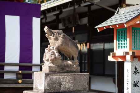 護王神社　狛猪