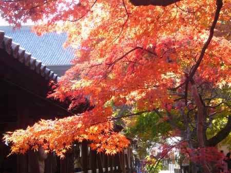 今も昔も変わらずに