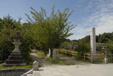 長岡天満宮　八条ヶ池ほとりの並木道