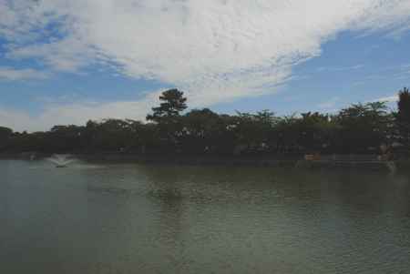 長岡天満宮の八条ヶ池