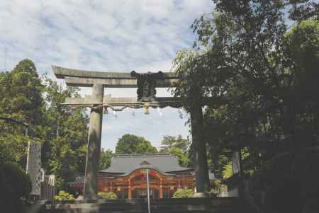 長岡天満宮　社殿と鳥居