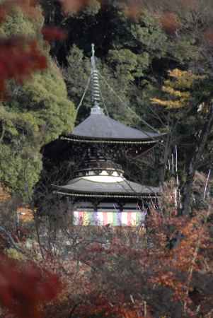 永観堂　多宝塔