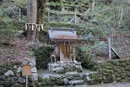 落ち葉の積もったお社