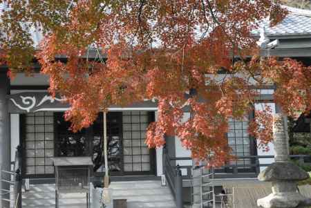 長法寺本堂と紅葉