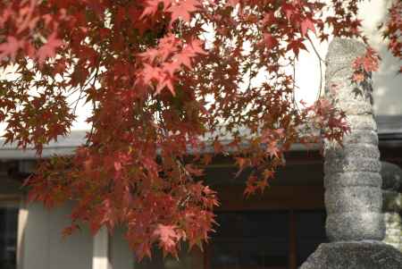 長法寺　赤く染まった紅葉