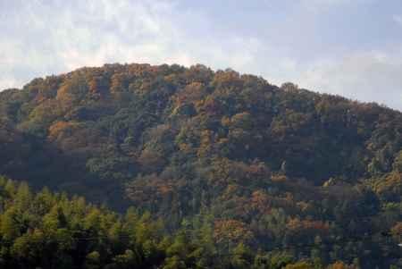 光明寺裏の西山