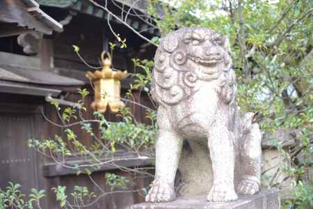 北野天満宮狛犬１０