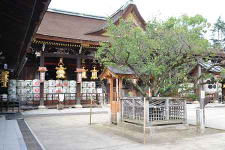 北野天満宮社殿５