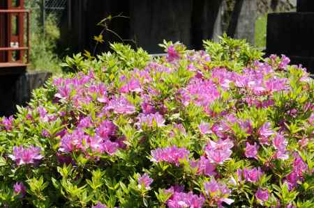 蹴上インクライン１９