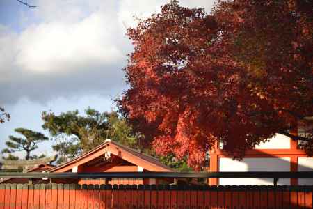 車折神社の紅葉