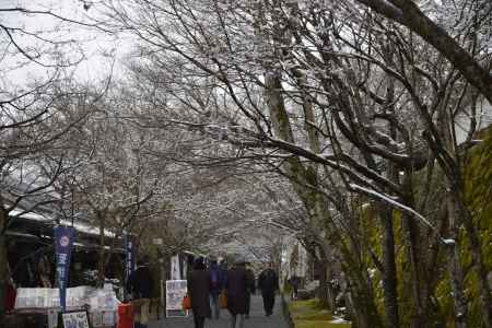 三千院門前の土産物街