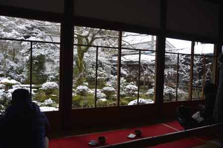 雪の聚碧園と緋毛氈