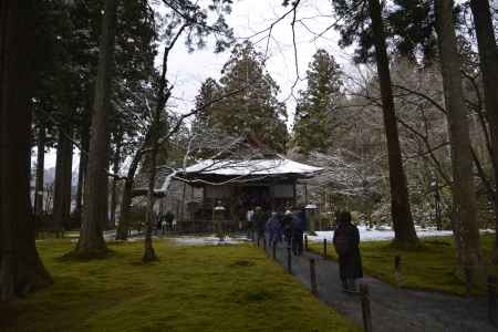 冬の往生極楽院
