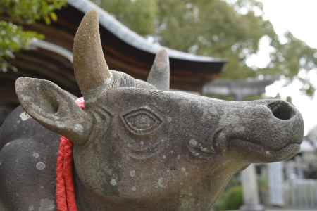 勇ましい顔のお牛様