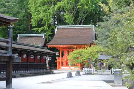 緑を背に映える朱色