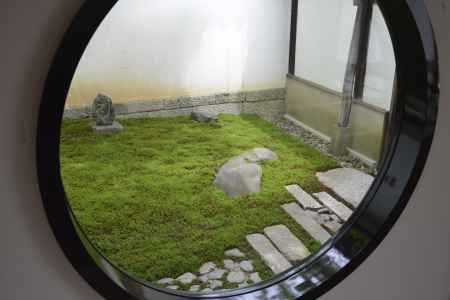 のぞくと苔むす庭