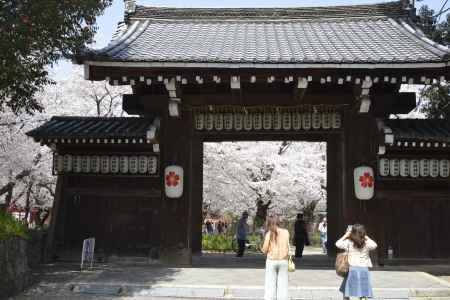 門の奥は別世界