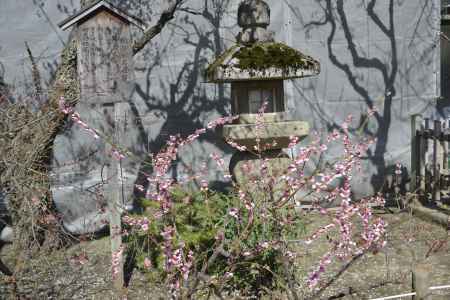 北野天満宮　織部形灯籠
