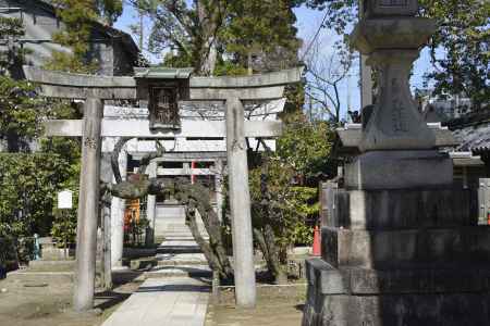 北野さんの竃社