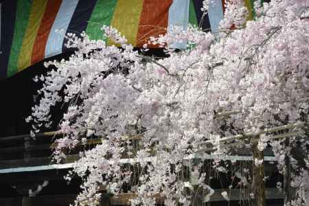 たなびく五色幕