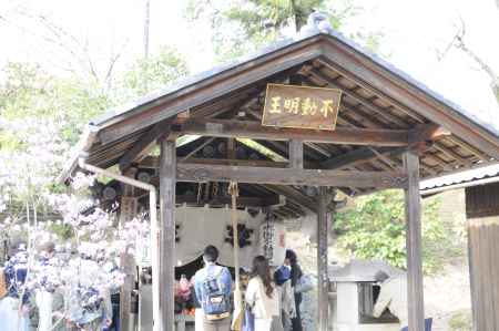 仁和寺　水掛不動尊